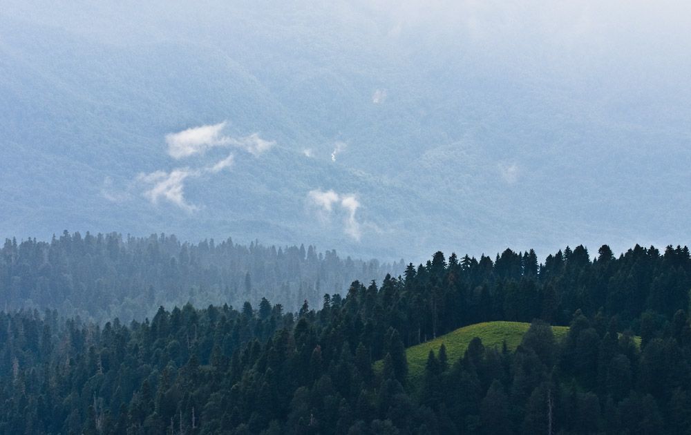 Виды Сочи