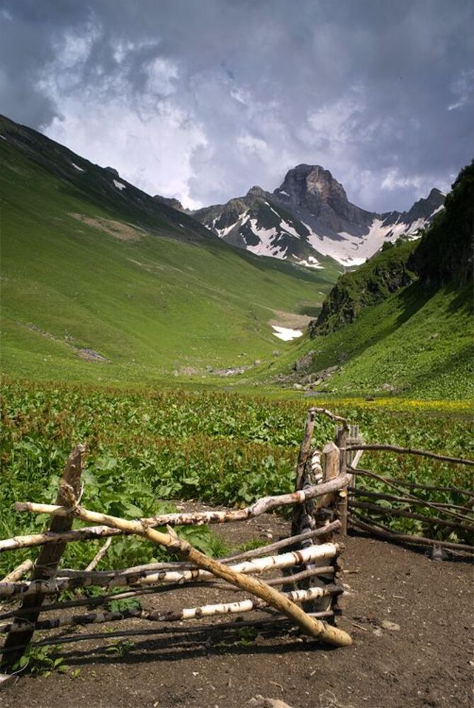 у балагана