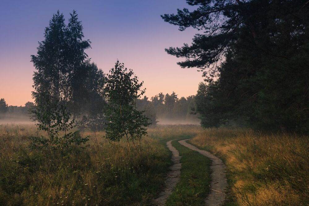 Зябкие ночи, скупые рассветы