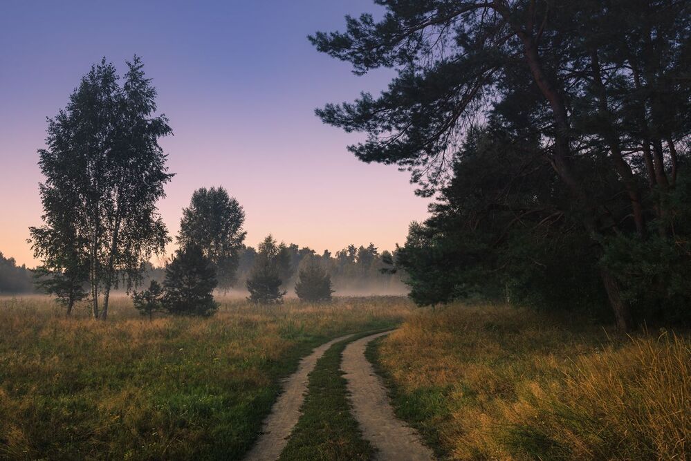 Зябкие ночи, скупые рассветы