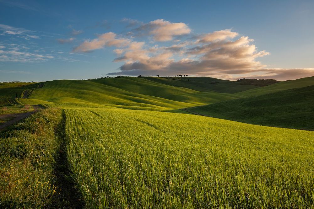 Landascapes