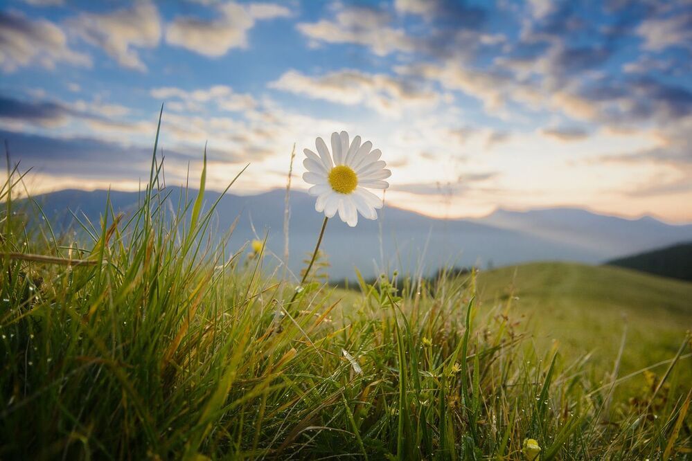 Свобода - всё что нужно для счастья