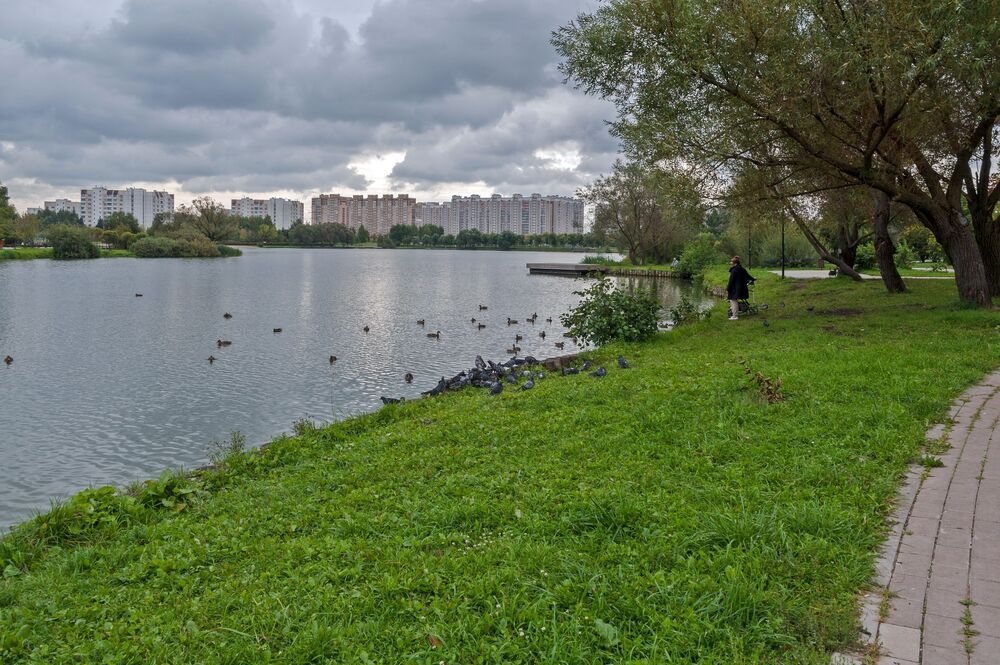 Осенний день в городском парке