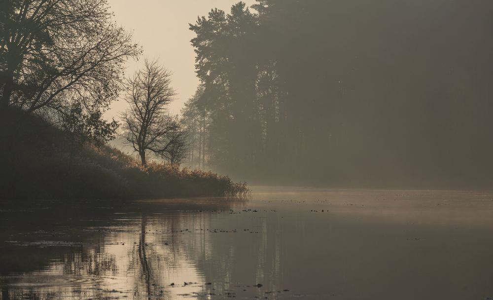 serenity...
