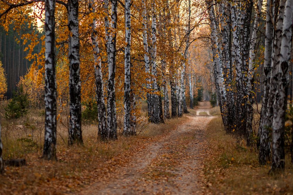 Осень