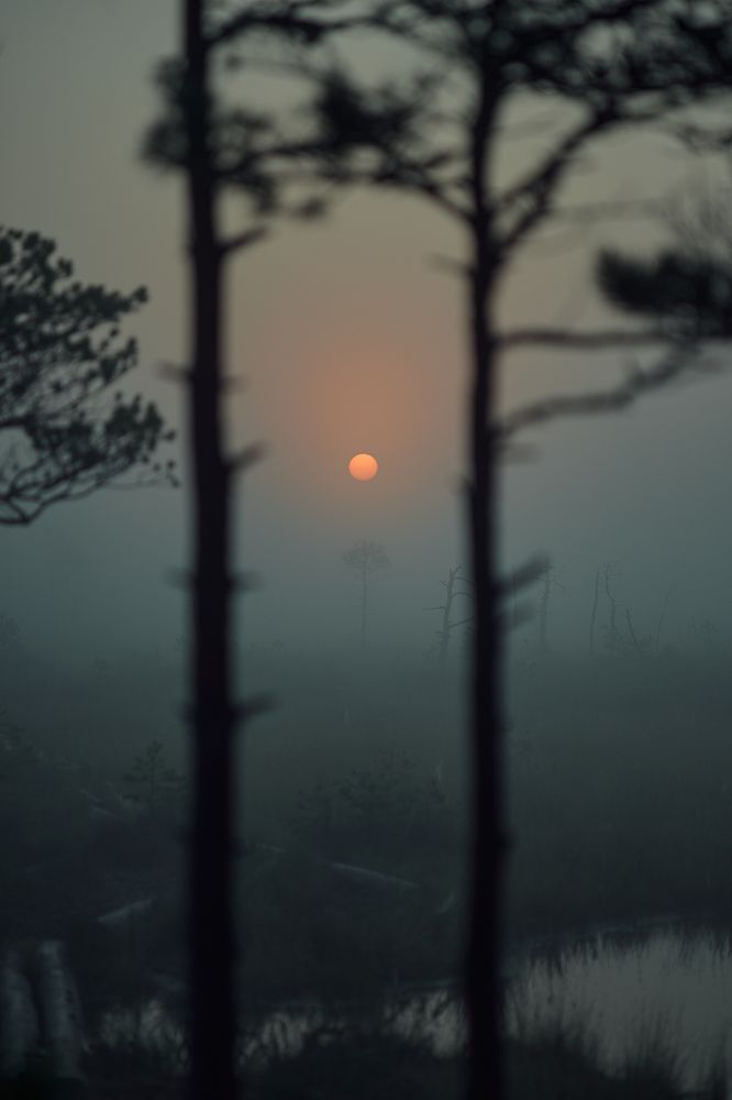 Photo 2007754