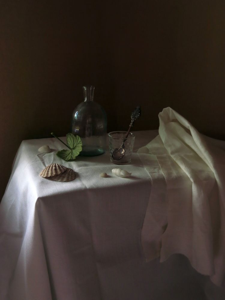 Photo 2008942