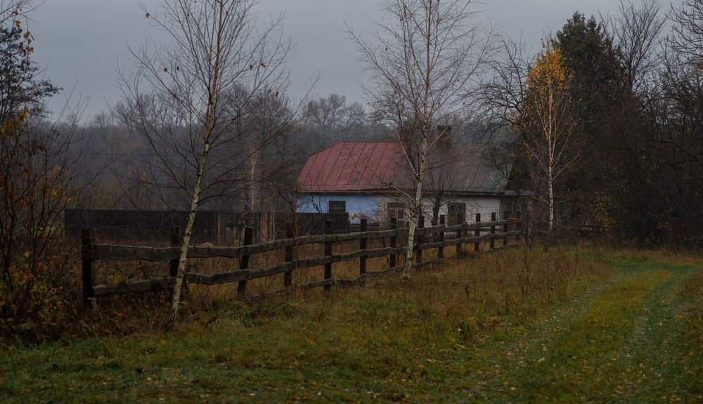 ноябрьская прогулка...