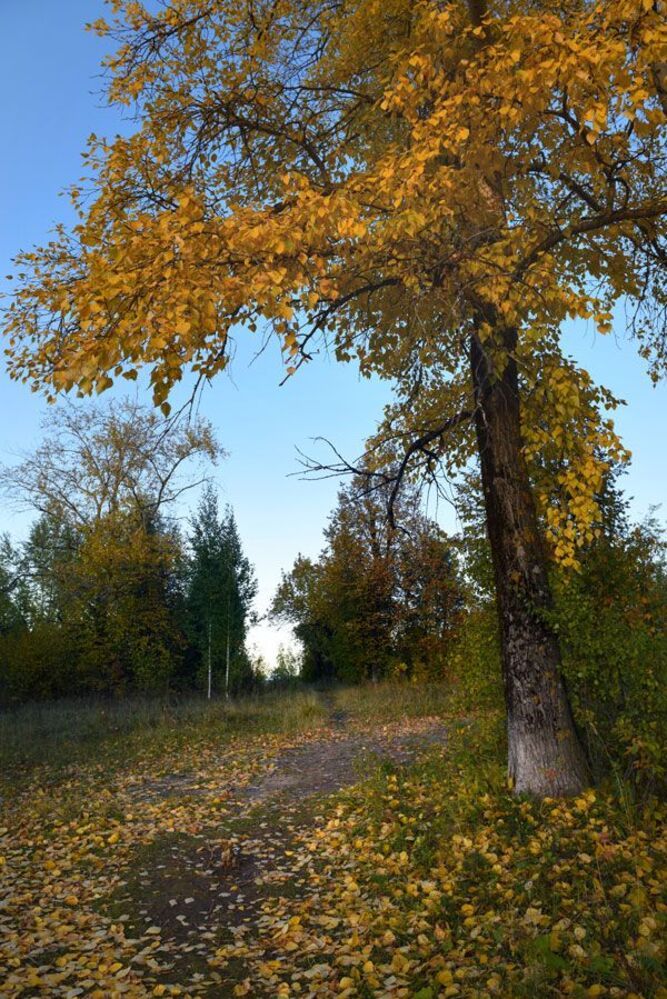 Дневная прогулка плавно переходящая в вечернюю