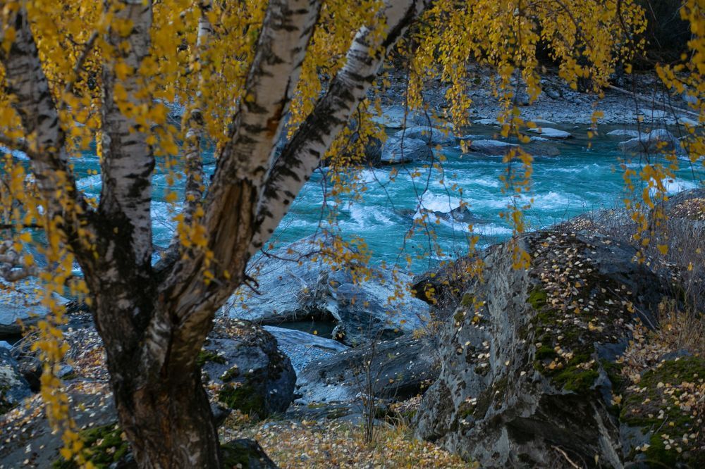 Осенний Алтай
