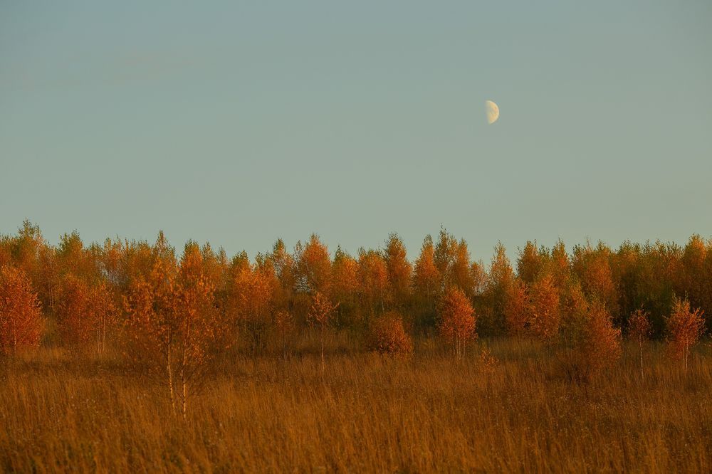 Осенний Алтай