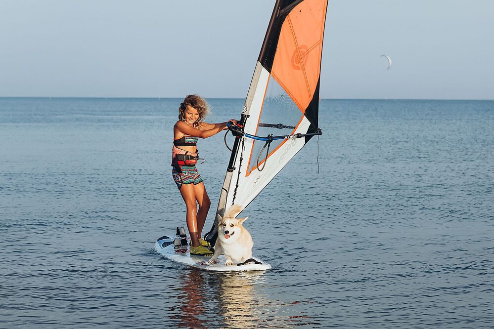 Photo 2012225