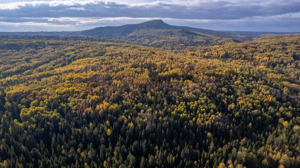Красновишерск и окрестности