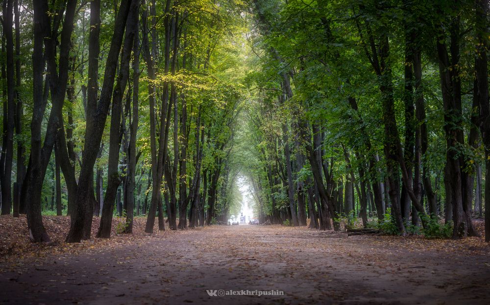 Silent Light
