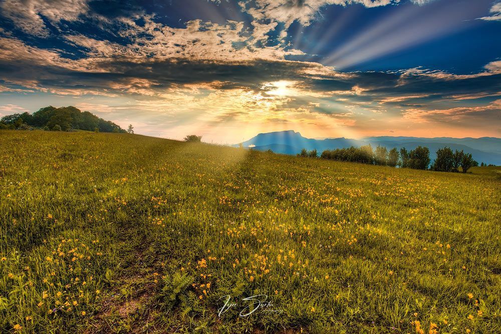 Photo 2013465
