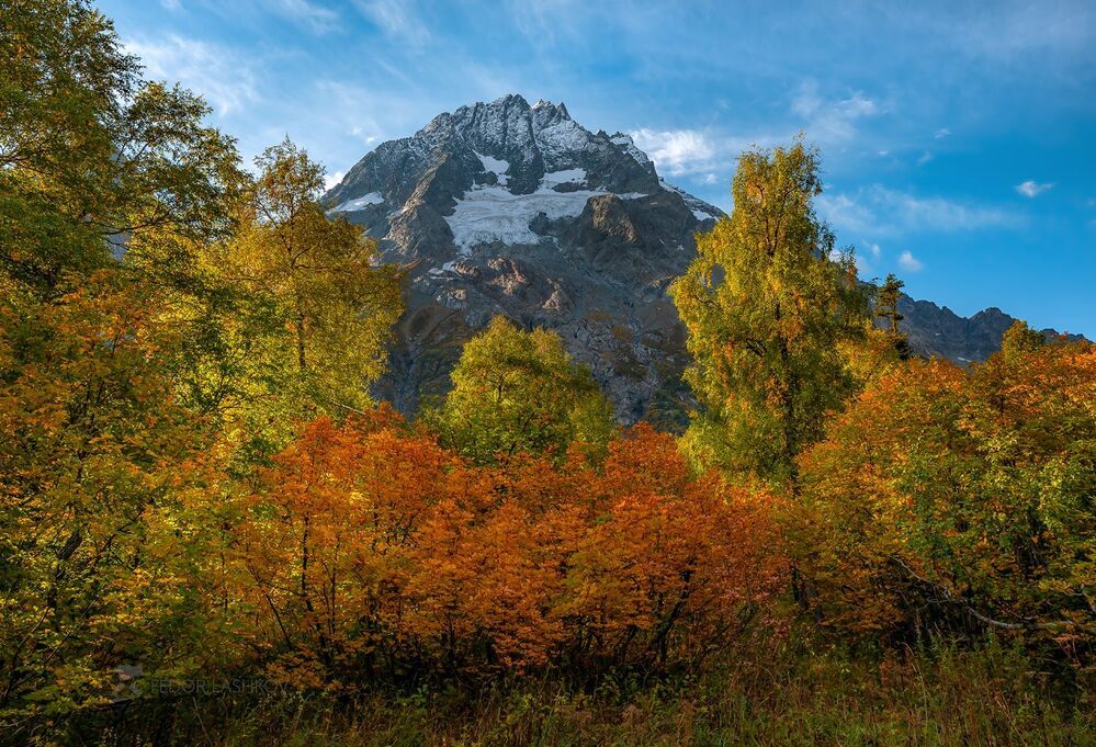 Разноцветье осени