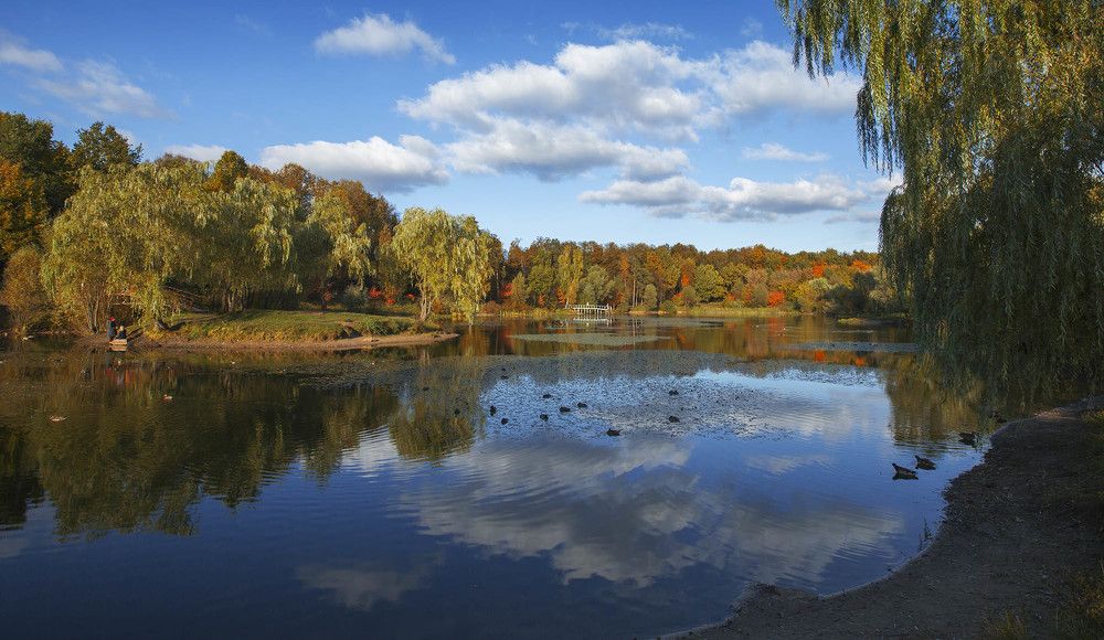 краски осени