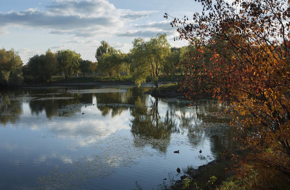 краски осени
