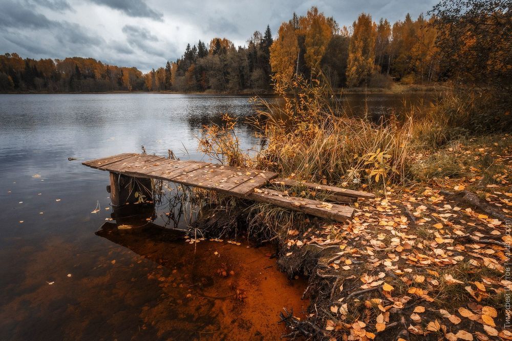 Осень на Вельё
