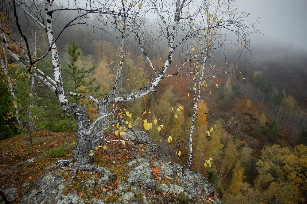 Осень на Мане