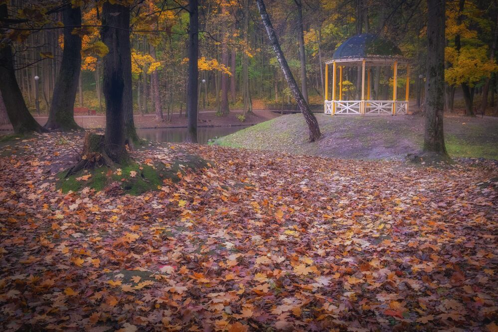 В парке осень