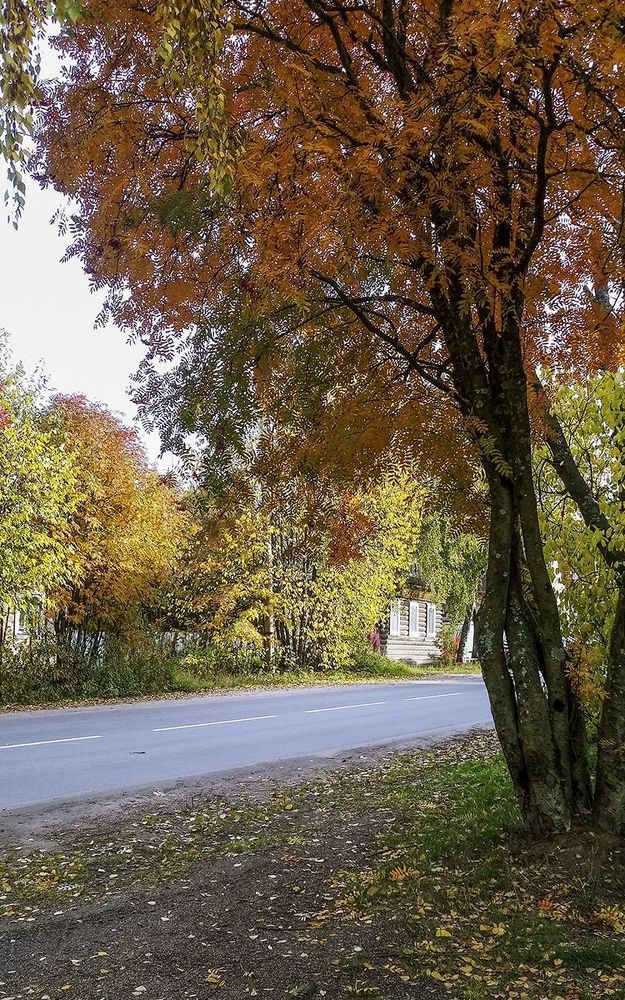 В городе Онега - красавица осень.