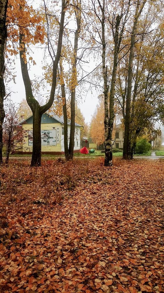 В городе Онега - красавица осень.