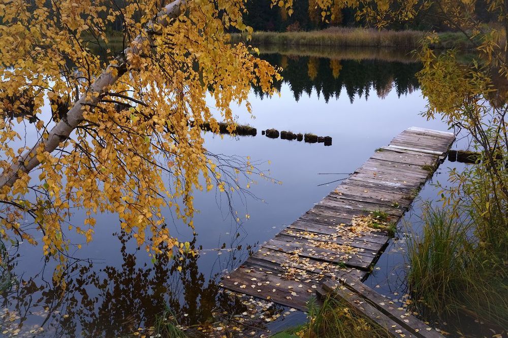 Золото осени