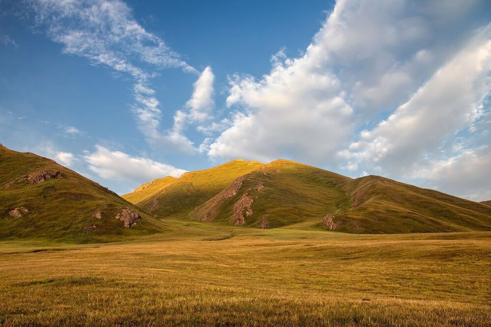На крыльях утра