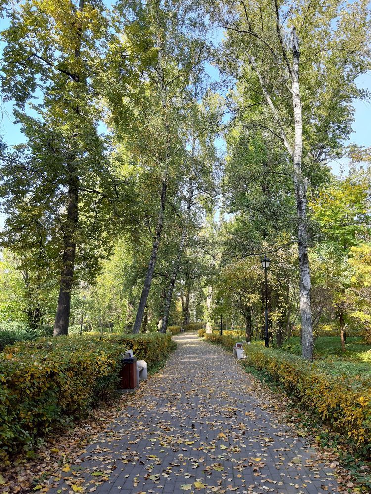 Осень. Прекрасная осень.