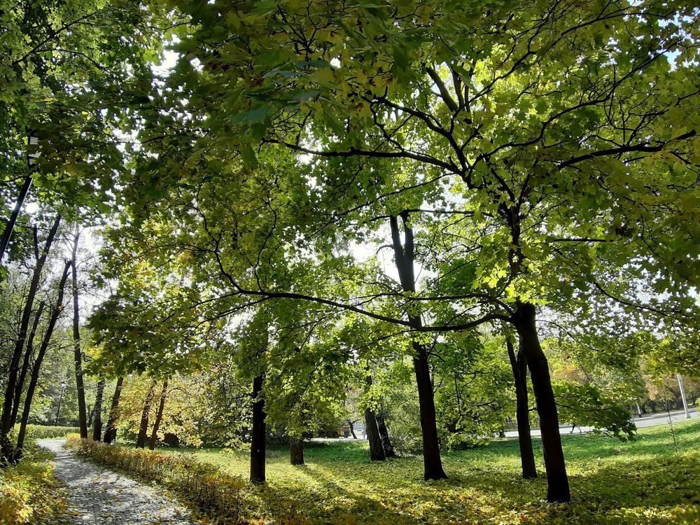 Осень. Прекрасная осень.