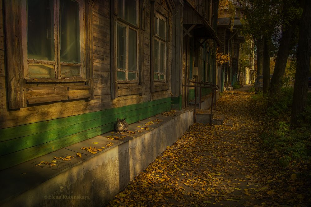 Осень в городе