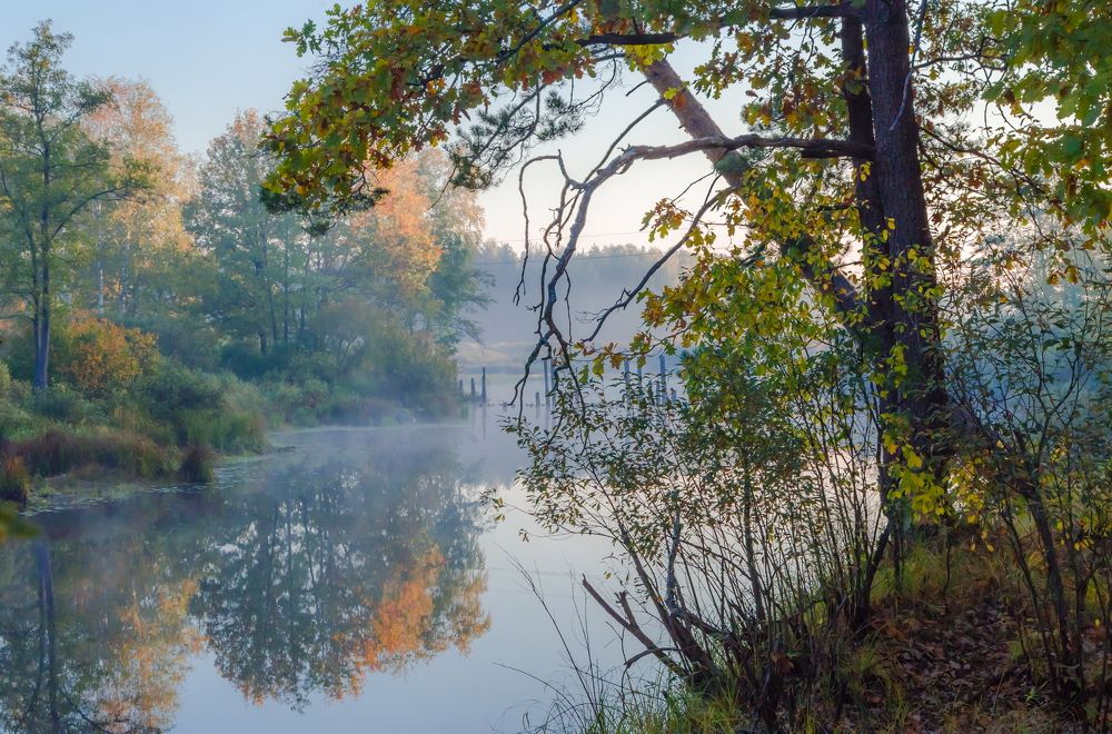 Осень у тихой реки