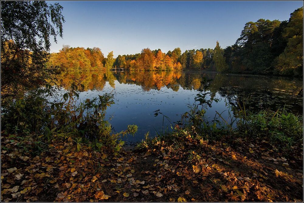 Осеннее утро на озере