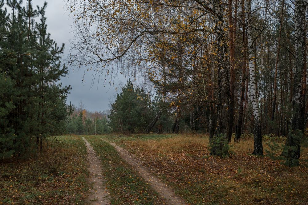 ноябрьская прогулка...