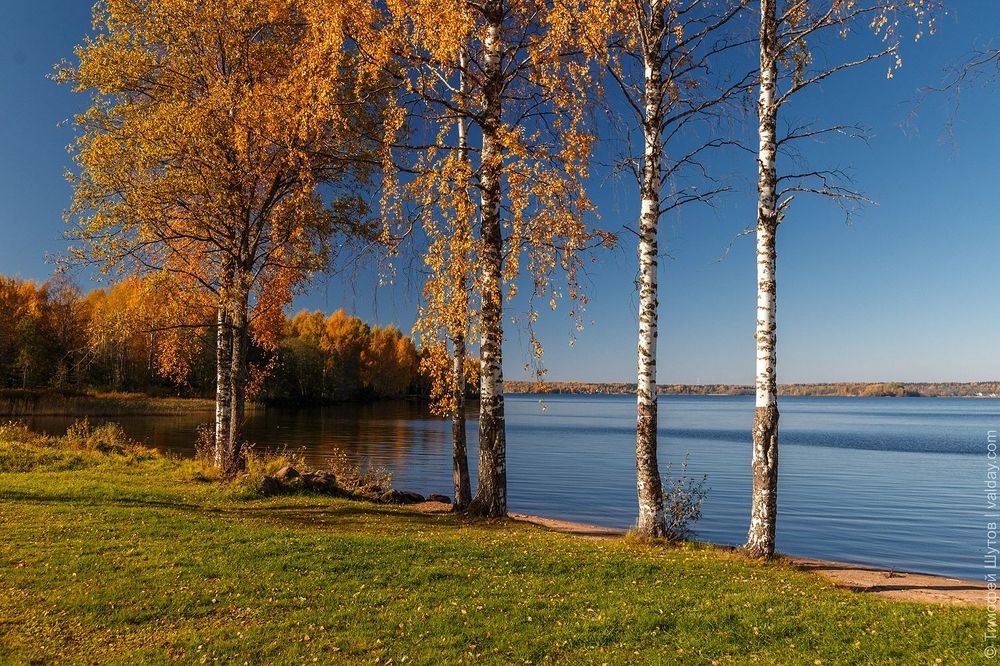 Золото осени на Валдае