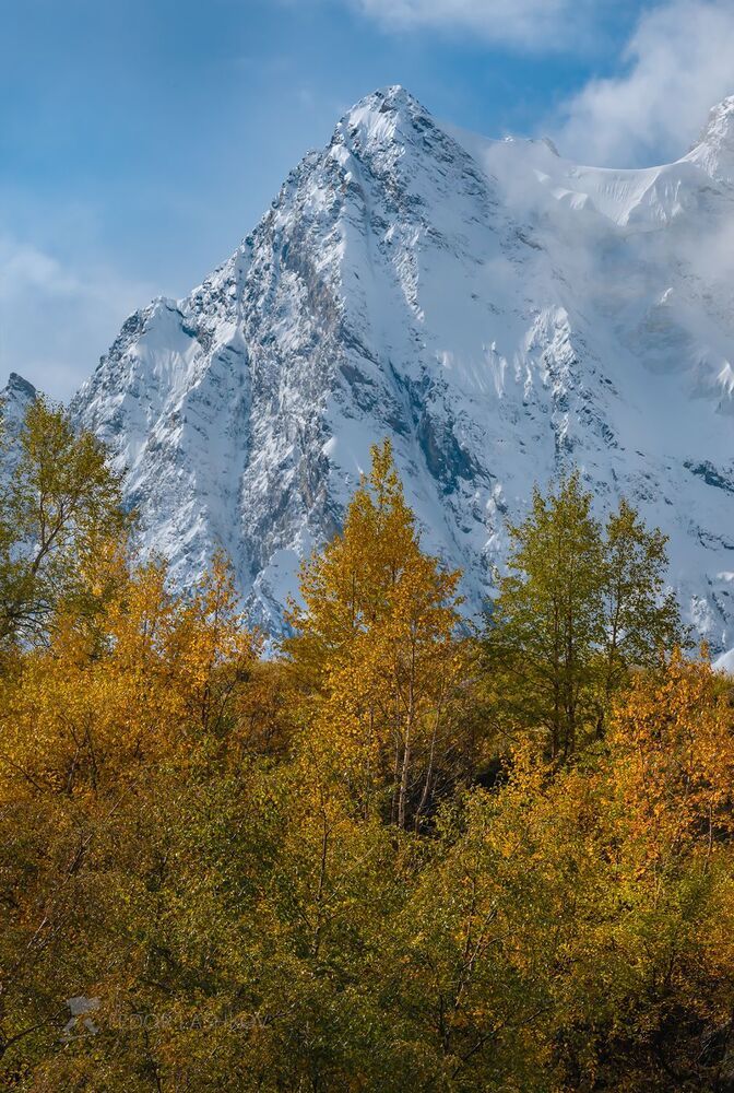 Серия &laquo;Горная осень&raquo;