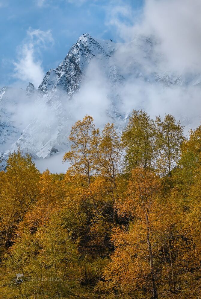 Серия &laquo;Горная осень&raquo;