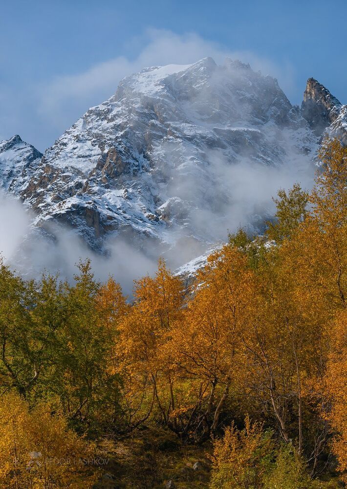 Серия &laquo;Горная осень&raquo;