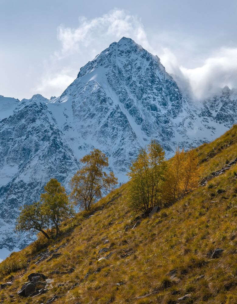 Серия &laquo;Горная осень&raquo;