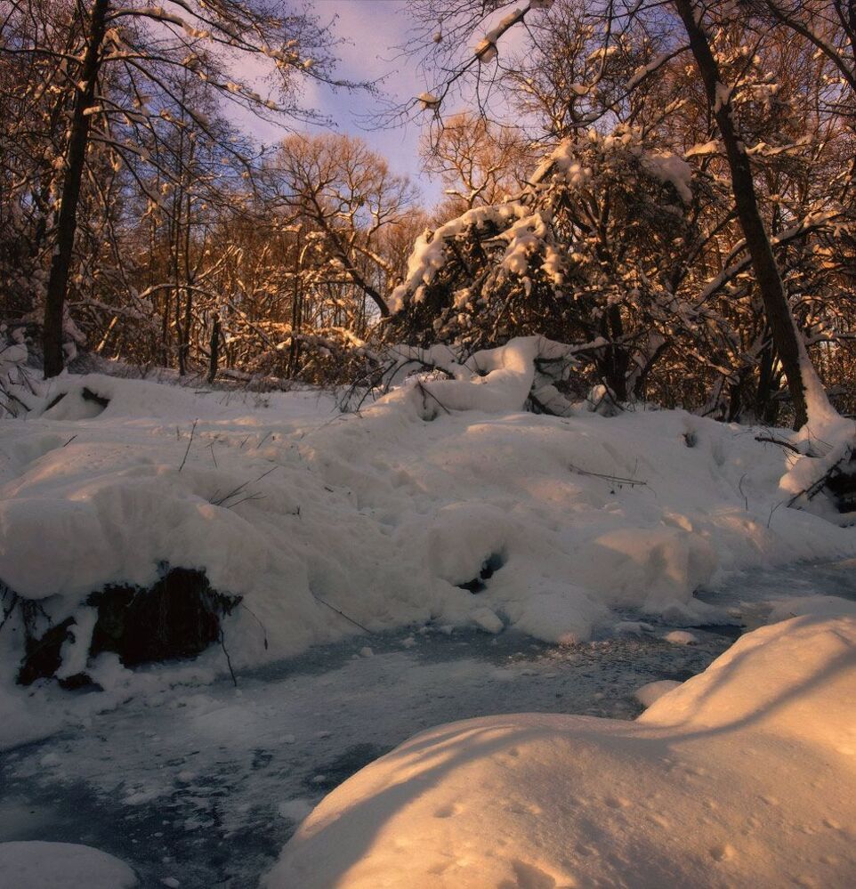 Прогулка вдоль зимней реки