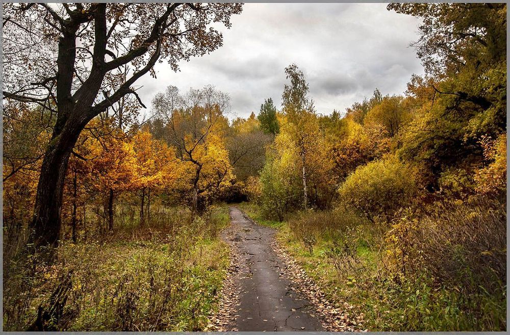 осень