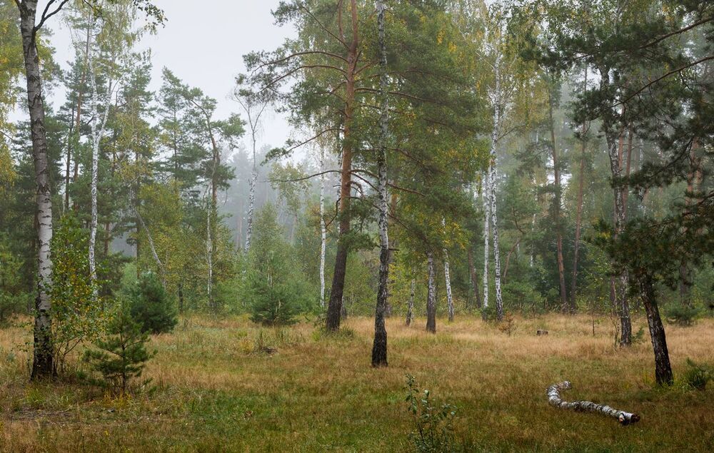 Уходит лето на покой