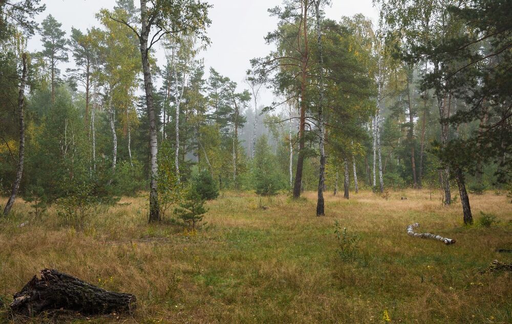 Уходит лето на покой