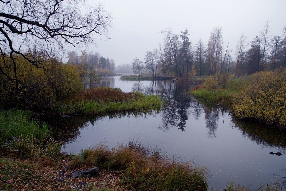 Осень в Кореле