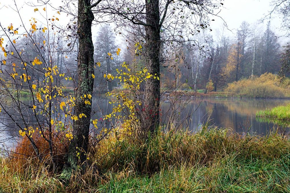 Осень в Кореле