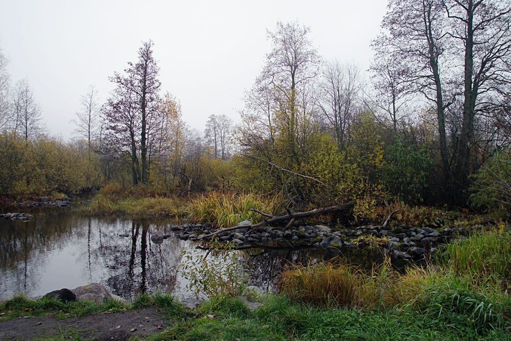 Осень в Кореле