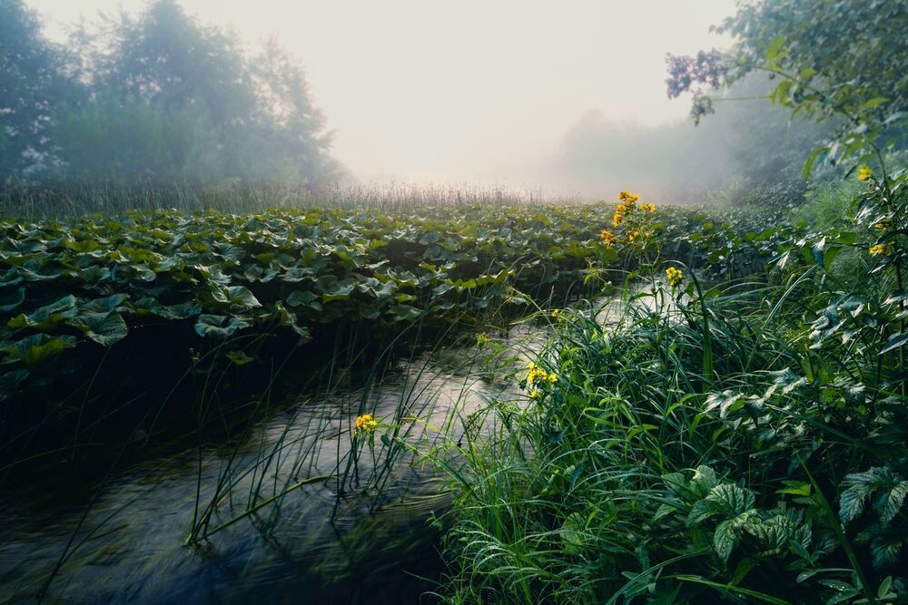 Photo 2023188