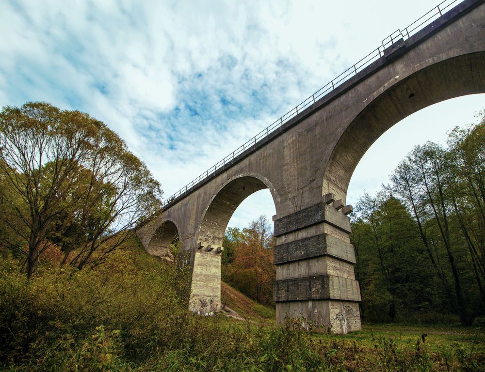 Осень в Краснолесье.