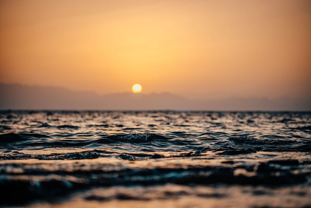 Photo 2023933